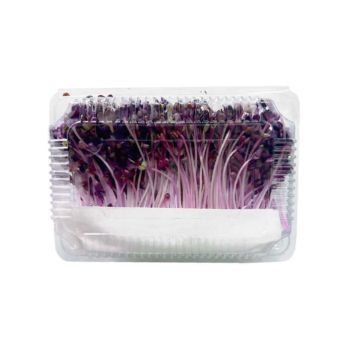 Rau Mầm Cải Tân Tây Lan 200g/ Hộp