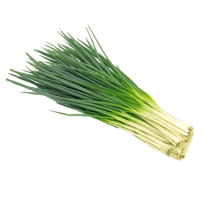 Hành Lá Bắc