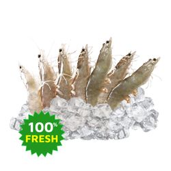 Tôm Thẻ Tươi (Ướp Đá) Size 31 - 35 1kg
