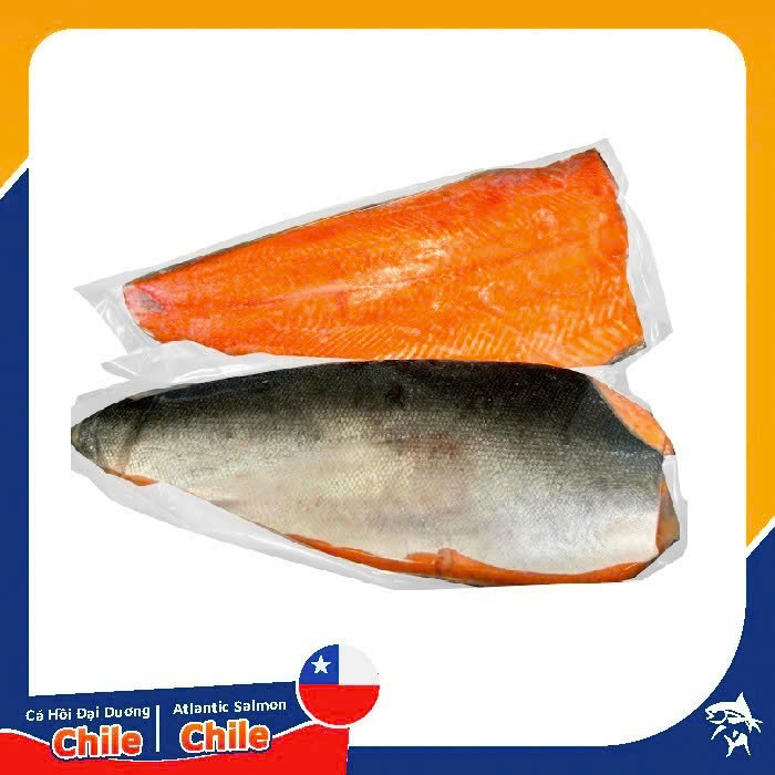 Cá Hồi Phi Lê Đông Lạnh 1.5 - 2.2kg/ Miếng (Mua Miếng Tính Tiền Kg)