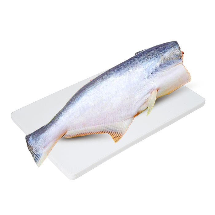 Cá Basa Làm Sạch