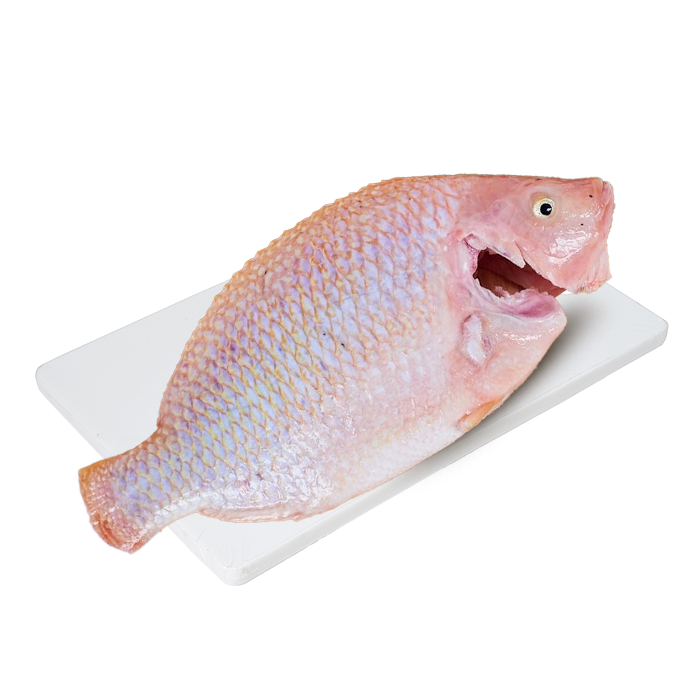 Cá Diêu Hồng Làm Sạch