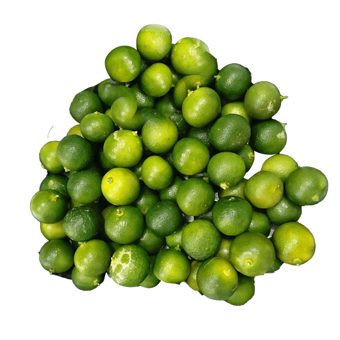 Tắc Loại Thường