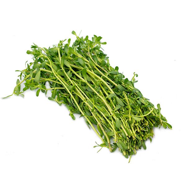 Rau Đắng Miền Tây
