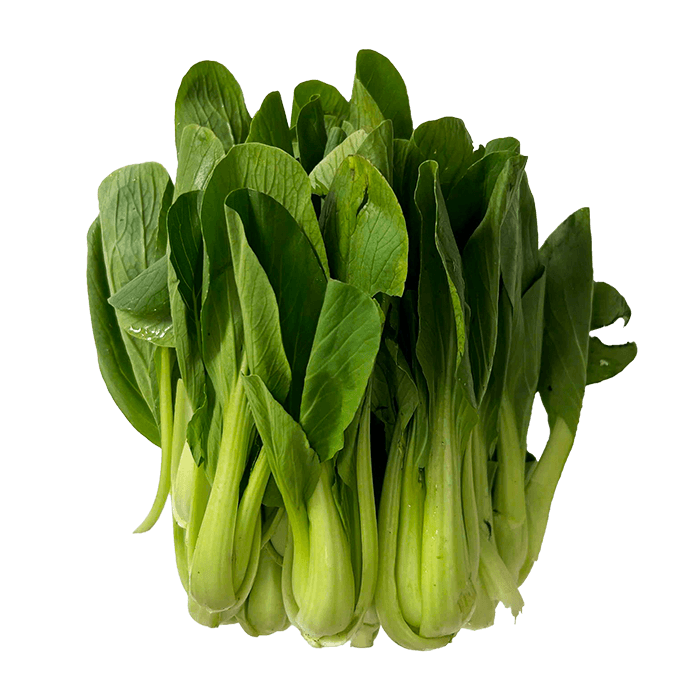 Cải Thìa Chíp Miền Tây Loại Thường