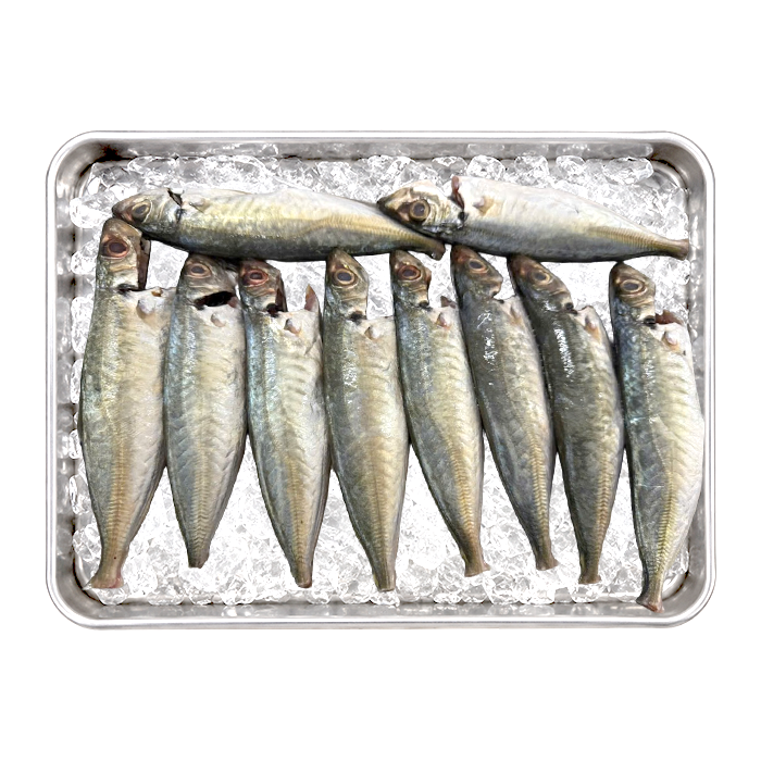 Cleaned Round Scad 10-12 Pcs/kg