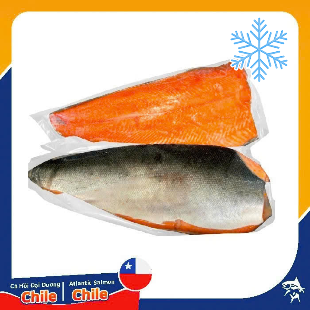 Cá Hồi Phi Lê Đông Lạnh 1.5 - 2.2kg/ Miếng (Mua Miếng Tính Tiền Kg)