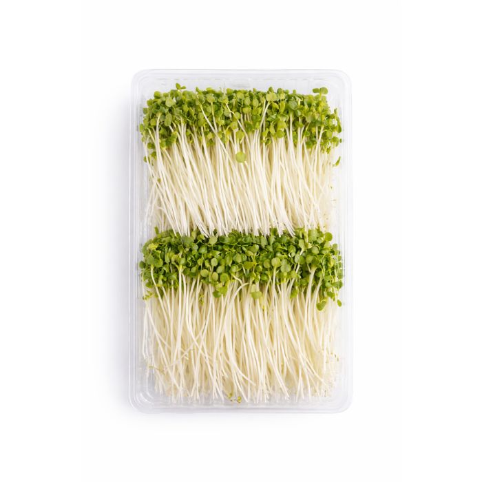 Rau Mầm Bông Cải Xanh 150g/ Hộp