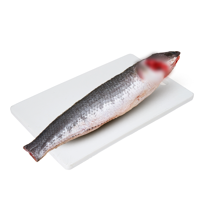 Cleaned Snakehead Fish