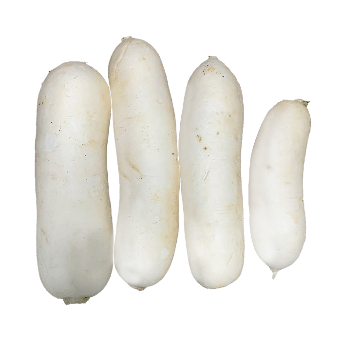 Củ Cải Trắng Đà Lạt Cỡ Vừa