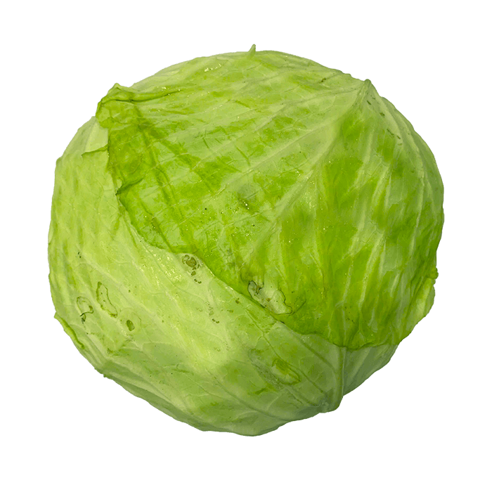 Cabbage Da Lat Regular Grade