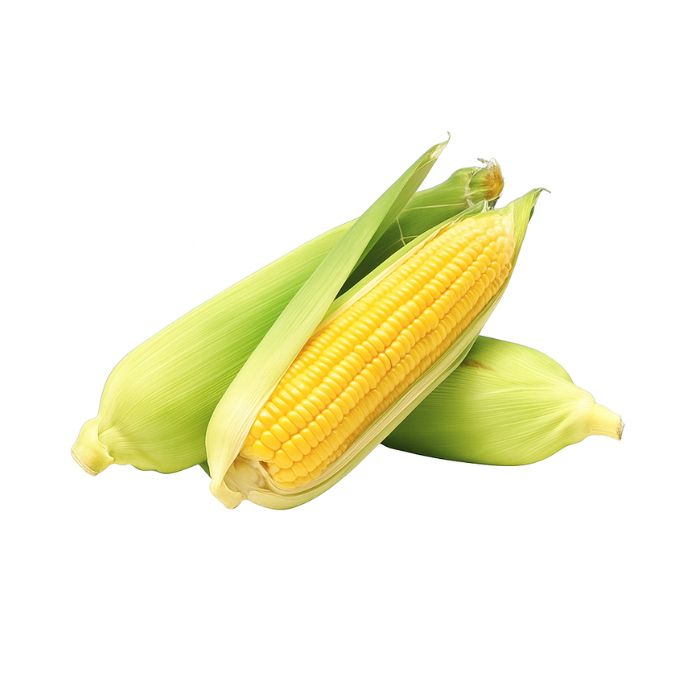 Bắp Mỹ (Ngô Mỹ) Miền Tây