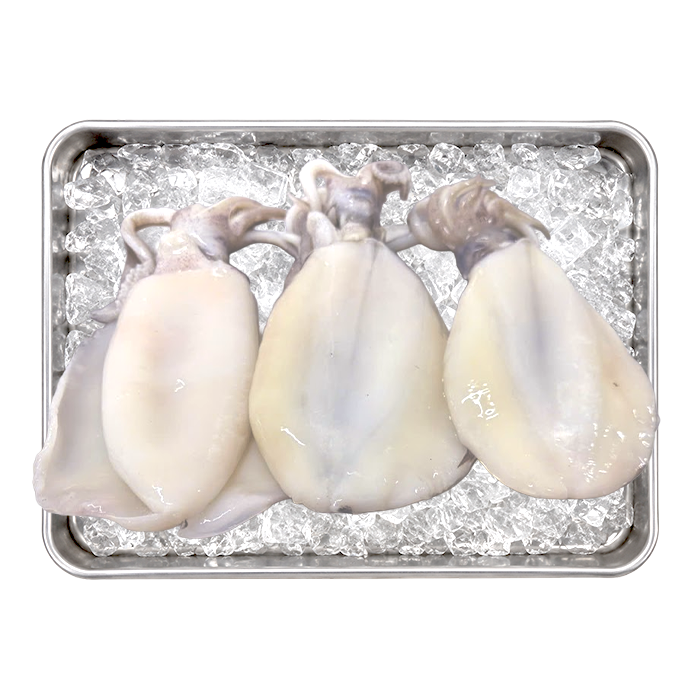 Cleaned Bigfin Reef Squid With Head 2-3 Pcs/kg