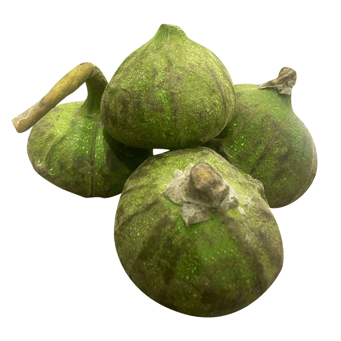 Trái Vả