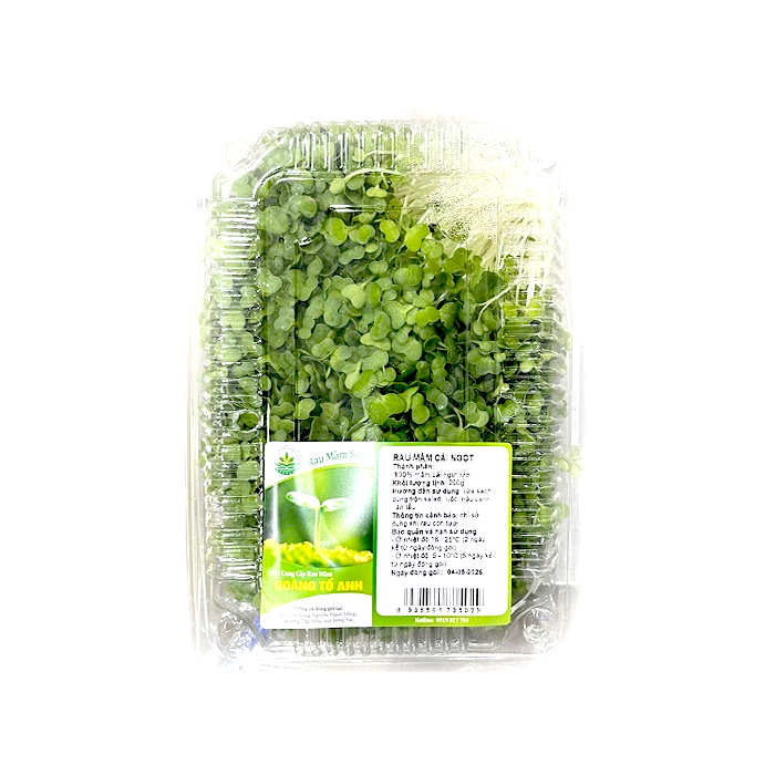 Choy Sum Sprout 200g/ Box