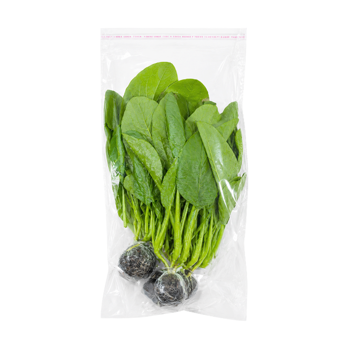 Chinese Broccoli Hydroponic 300g