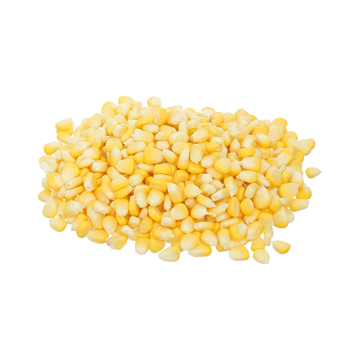 Bắp Mỹ Hạt (Ngô Mỹ) Miền Tây
