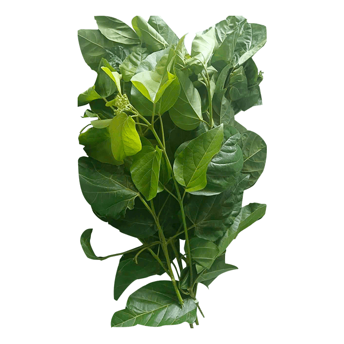 Lá Cách Miền Tây