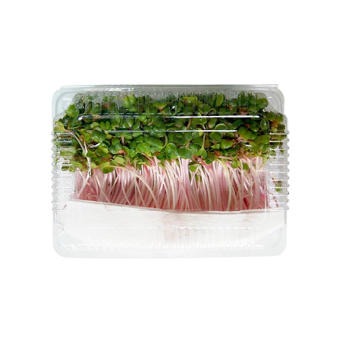 Rau Mầm Cải Đỏ 200g/ Hộp