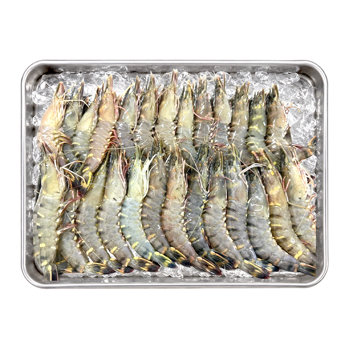 Fresh Black Tiger Shrimp (Ice - Preserved) Size 25-30 Pcs/kg